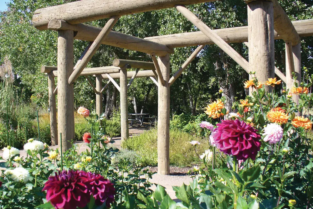 A summer day at Hudson Gardens littleton, CO